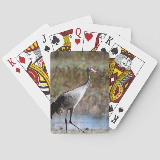 Jeu De Cartes Graine de Sandhill (dos)