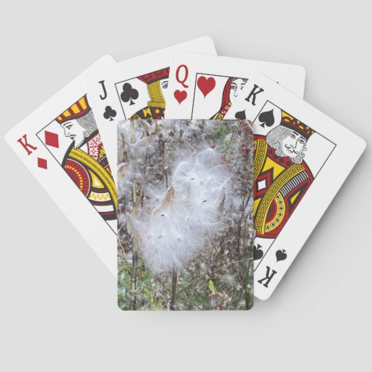 Jeu De Cartes Graines et soie d'algues (dos)