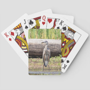 Jeu De Cartes Grand Héron bleu debout dans le lac Champlain