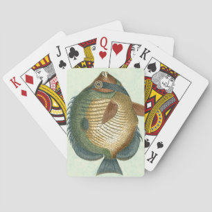 Jeu De Cartes Grand Poisson Coloré