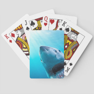 Jeu De Cartes Grand requin blanc Afrique du Sud