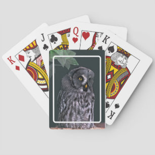 Jeu De Cartes Grande Chouette grise