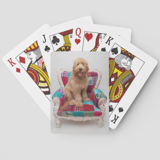 Jeu De Cartes Grandes images| Coute Goldendoodle (dos)