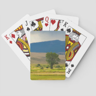 Jeu De Cartes Granite County Montana