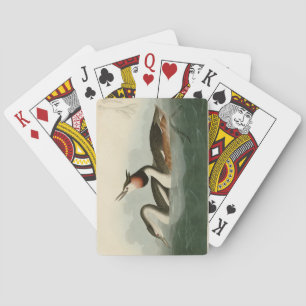 Jeu De Cartes Grèbe à l'agneau - Les oiseaux d'Amérique d'Audubo