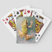 Jeu De Cartes Grenouille Arbre À L'Écran Fermer Photo (dos)