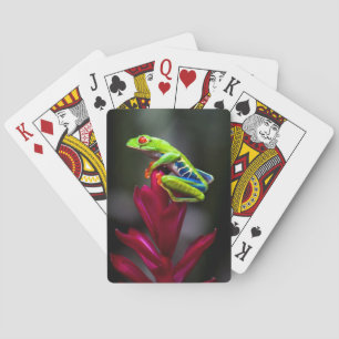 Jeu De Cartes Grenouille d'arbre aux yeux rouges