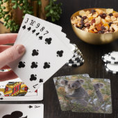 Jeu De Cartes Grevillea Koala Bear, (In Situ)