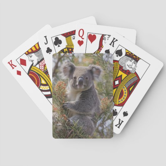 Jeu De Cartes Grevillea Koala Bear, (dos)