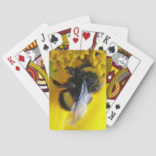 Jeu De Cartes Gros bourdon