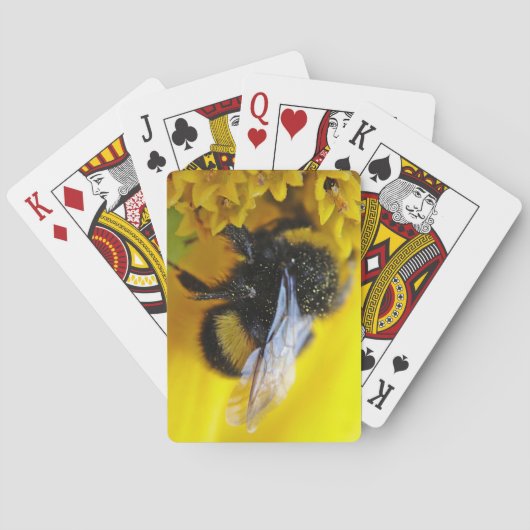 Jeu De Cartes Gros bourdon (dos)