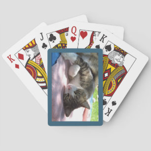 Jeu De Cartes Gros Chat Garçon Sur Table Jouer Des Cartes
