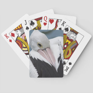 Jeu De Cartes Gros plan pélican australien
