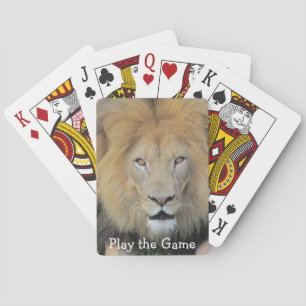 Jeu De Cartes Gros plan Photo Lion