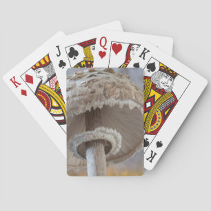 Jeu De Cartes Gros plan sur le dessous d'un champignon