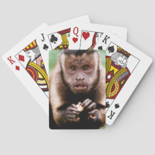 Jeu De Cartes Gros plan sur un capucin à tête noire