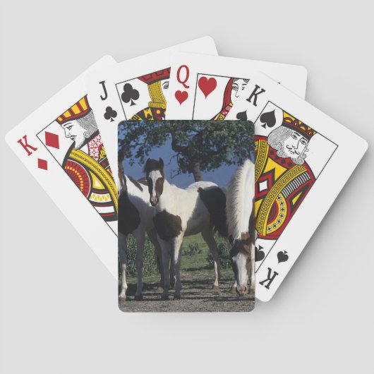Jeu De Cartes Groupe de Chevaux de Peinture (dos)