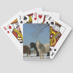 Jeu De Cartes Groupe de Chevaux miniatures dans la neige