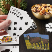 Jeu De Cartes Groupe de Thoroughbred (In Situ)