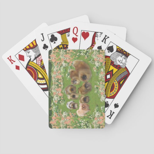 Jeu De Cartes Groupe Jardin (dos)