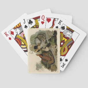 Jeu De Cartes Grouse rouffé - d'Audubon's Birds of America