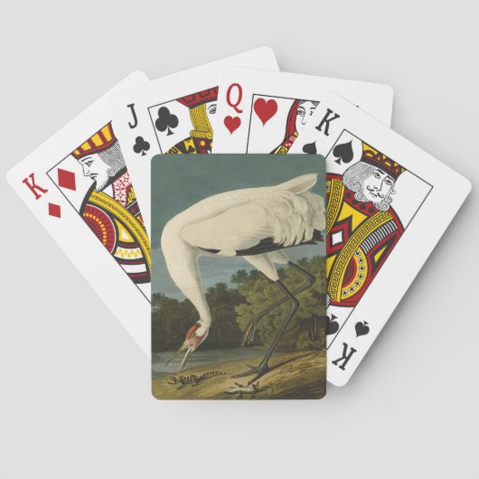 Jeu De Cartes Grue blanche Audubon Peinture d'oiseaux (dos)