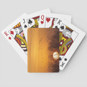 Jeu De Cartes Grues de Sandhill silhouetté contre le soleil leva