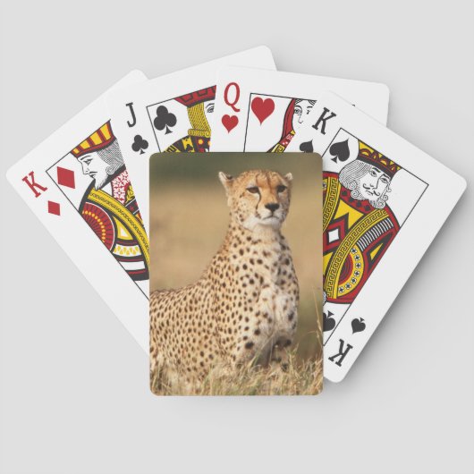 Jeu De Cartes Guépard sur le petit monticule pour une meilleure (dos)