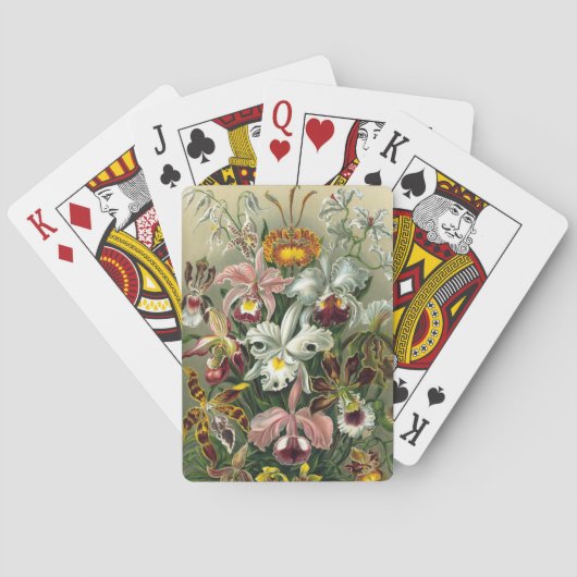 Jeu De Cartes Haeckel (dos)