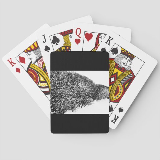 Jeu De Cartes haie d'hiver (dos)