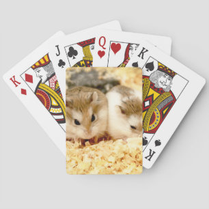 Jeu De Cartes Hammyville - Cute Hamster
