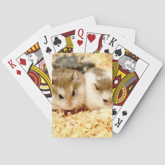 Jeu De Cartes Hammyville - Cute Hamster (dos)