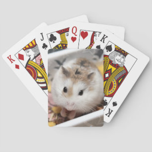 Jeu De Cartes Hammyville - Cute Hamster