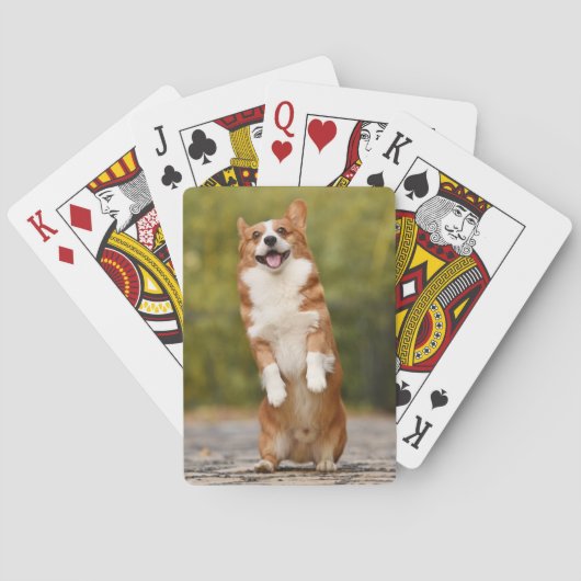Jeu De Cartes Happy Corgi Puppy photo debout (dos)