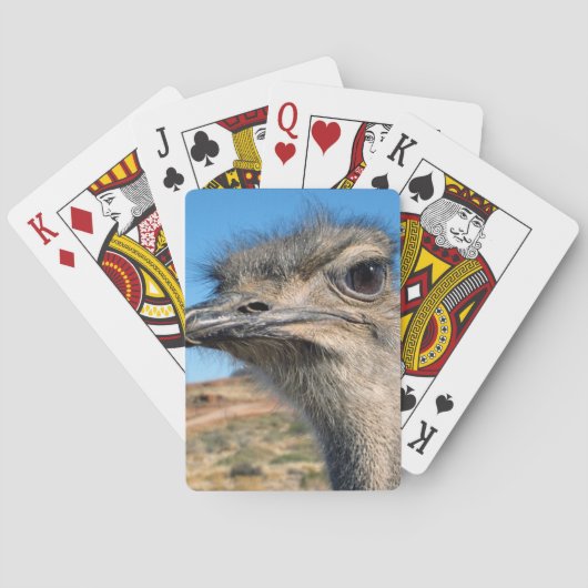 Jeu De Cartes Harry l'Autruche Heureux (dos)