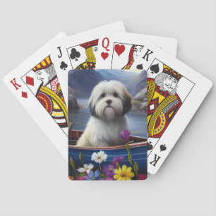 Jeu De Cartes Havanais sur une pagaie : Une aventure panoramique