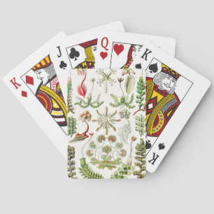 Jeu De Cartes Hepaticae Lebermoose par Ernst Haeckel