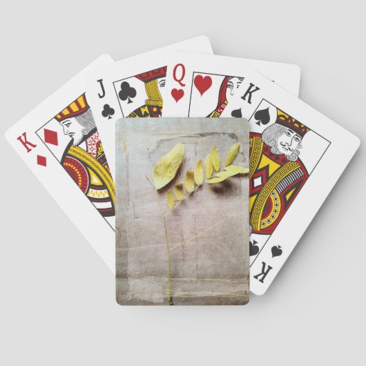 Jeu De Cartes Herbarium V (dos)