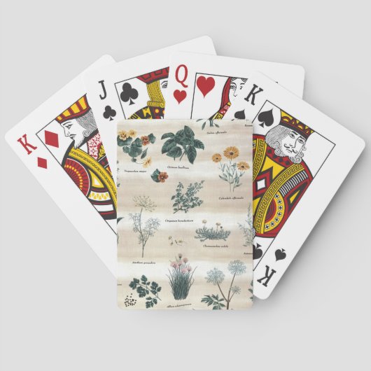 Jeu De Cartes Herbes Fleurs Plantes (dos)
