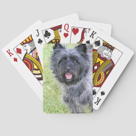 Jeu De Cartes Heureux (dos)