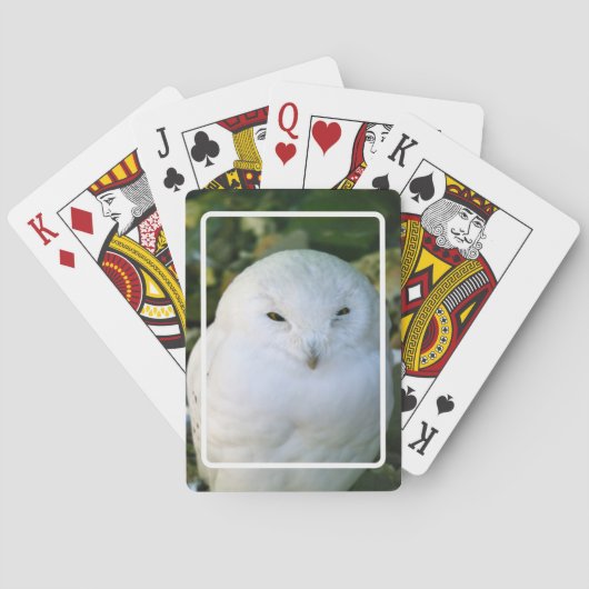 Jeu De Cartes Hibou des neiges (dos)