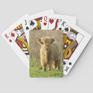 Jeu De Cartes Highland Cow