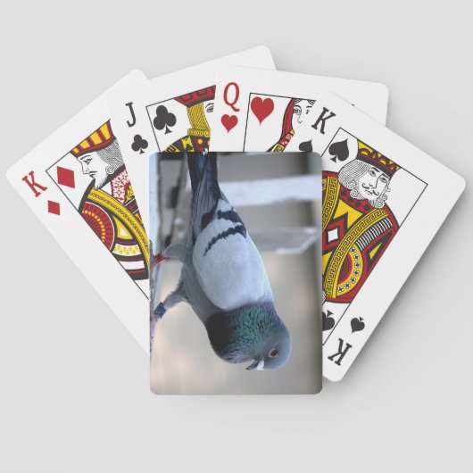 Jeu De Cartes Homing Pigeon sur le Loft Playing Cards (dos)