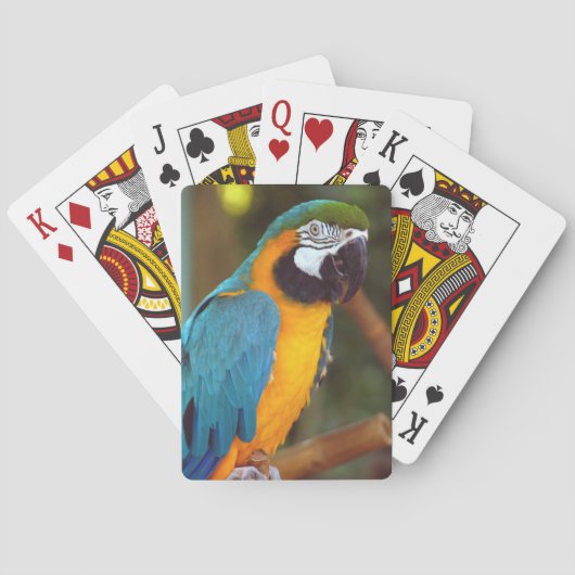 Jeu De Cartes Homme Macaw (dos)