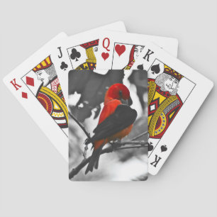 Jeu De Cartes Homme Scarlet Tanager