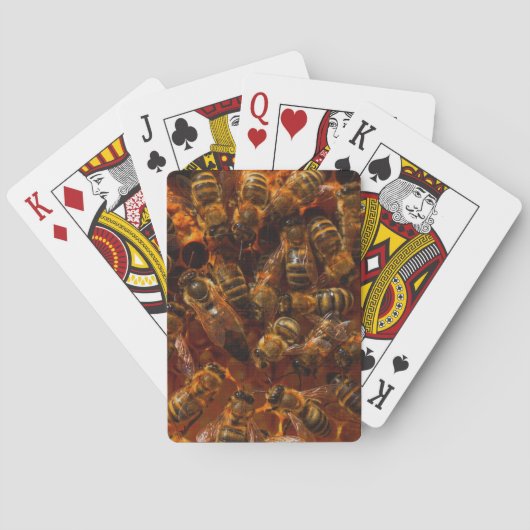 JEU DE CARTES HONEYBEES 7 (dos)