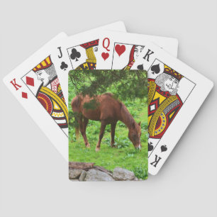 Jeu De Cartes Horse Jouer Cartes