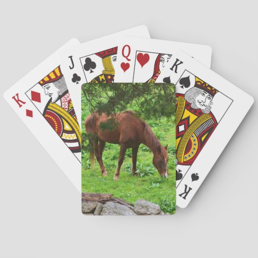 Jeu De Cartes Horse Jouer Cartes (dos)