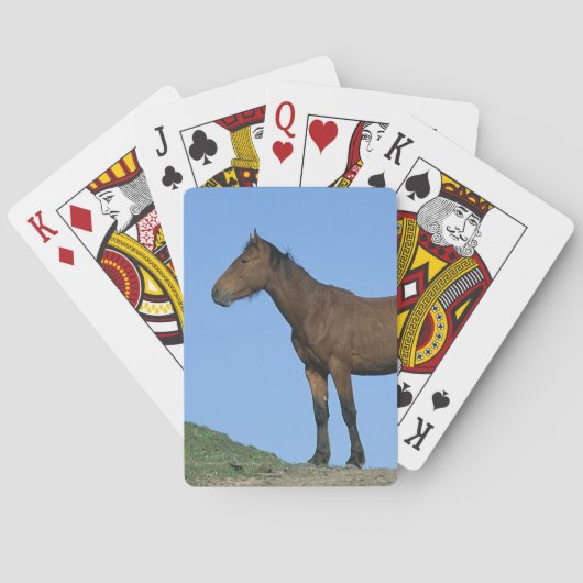 Jeu De Cartes Horse sauvage (dos)
