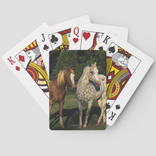 Jeu De Cartes Horses d'Appaloosa (dos)